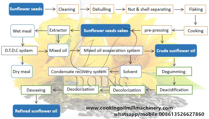sunflower oil extraction process