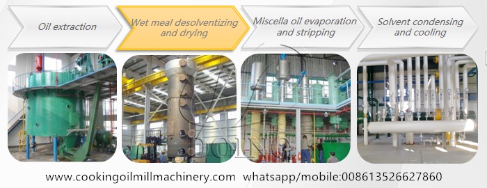 sunflower oil extraction plant