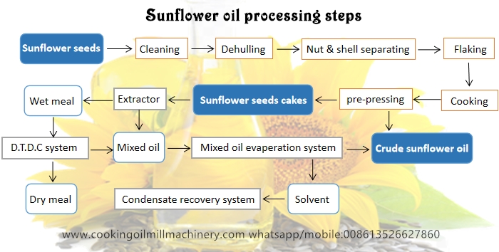 sunflower oil processing steps