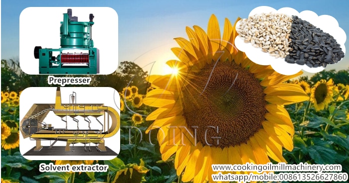 sunflower oil processing machine