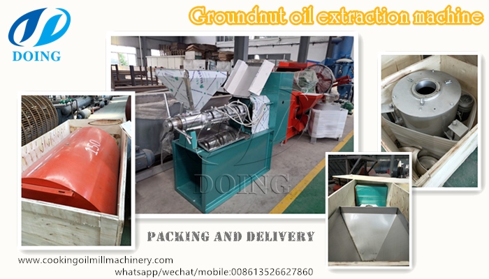 groundnut oil extraction machine