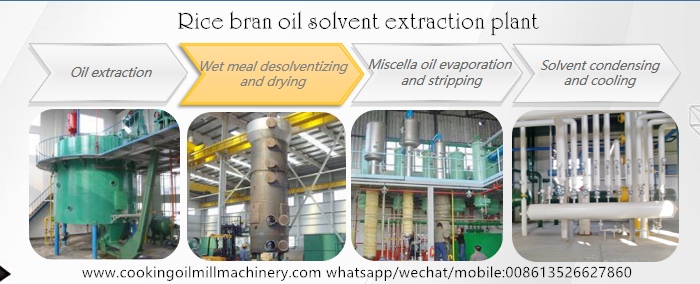 rice bran oil solvent extraction process