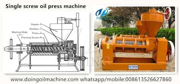 screw press machine