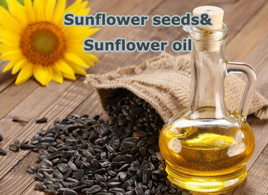 How to press sunflower oil from seeds?