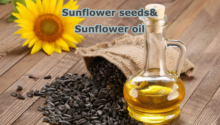 sunflower oil sunflower seed