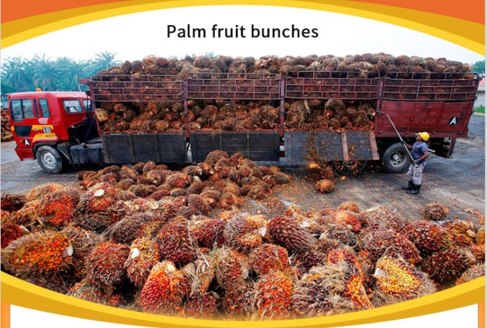 Palm fruit reception