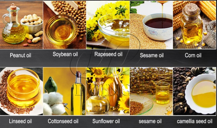 different oil seeds raw materials