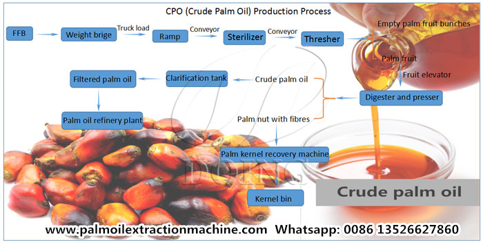 Crude Palm Oil Production process