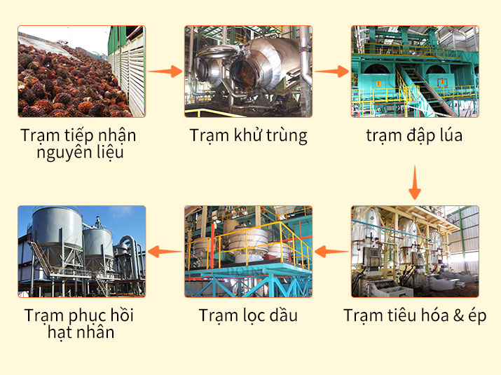 Medium and Large Scale Palm Oil Press Line